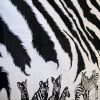 Zebra-striped-Kanga-