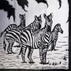 Zebra-striped-Kanga-2