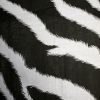 Zebra-striped-Kanga-3